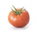 Pomidor Managua 100 nasion