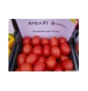 Pomidor Avila 5000 nasion