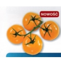 Pomidor Dulcia 500 nasion