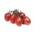 Pomidor Reva 250 nasion