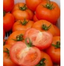 Pomidor Florenzia 250 nasion