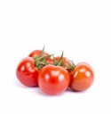 Pomidor Callanzo 100 nasion