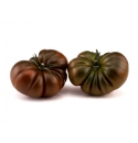 Pomidor Bucanero 250 nasion