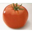 Pomidor Raissa 500 nasion
