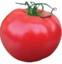 Pomidor Aphen CLX 37397 1000 nasion