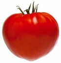 Pomidor Gourmandia 250 nasion
