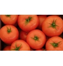 Pomidor Guyana 100 nasion