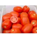 Pomidor Dyno 5000 nasion
