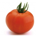 Pomidor Elpida 500 nasion