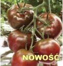 Pomidor Sacher 250 nasion