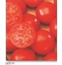 Pomidor Duty 1000 nasion