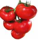 Pomidor Celesteen 250 nasion