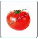 Pomidor Bayonne 500 nasion