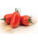 Pomidor Romindo 500 nasion