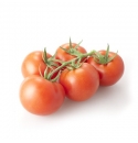 Pomidor Futuno 100 nasion