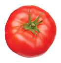 Pomidor Beef Bang CLX 37674 250 nasion