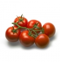 Pomidor Mecano 100 nasion