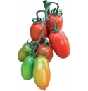 Pomidor Dartagnane 250 nasion