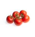 Pomidor Endeavour 100 nasion
