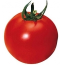 Pomidor Daniela 1000 nasion