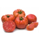 Pomidor Cassarosa 1000 nasion