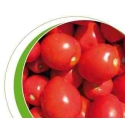 Pomidor Manera