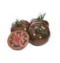 Pomidor Big Sacher 50 nasion