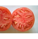 Pomidor Tomimaru Muchoo 500 nasion