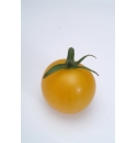 Pomidor Summer Sun 250 nasion