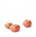 Pomidor Ladoga 100 nasion