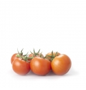 Pomidor Cappricia 100 nasion