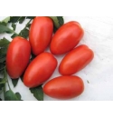 Pomidor Lancelot 250 nasion