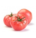 Pomidor Faworyt 10g