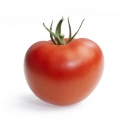 Pomidor Tomala 100 nasion