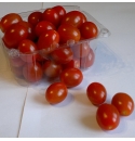 Pomidor Riesling 250 nasion