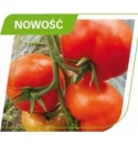 Pomidor Yigido 250 nasion