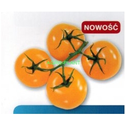 Pomidor Dulcia 500 nasion
