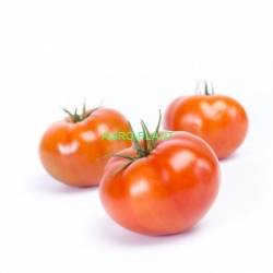 Pomidor Taymyr 100 nasion