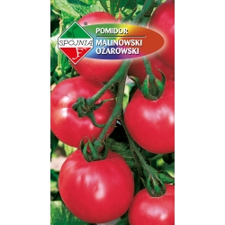 Pomidor malinowy Ożarowski 10g