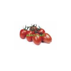 Pomidor Reva 250 nasion