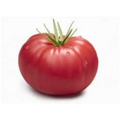 Pomidor Malinowy Warszawski 10g