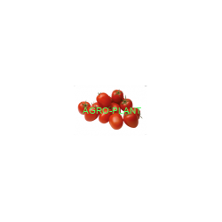 Pomidor Cardyna 250 nasion