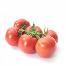Pomidor Siranzo 100 nasion
