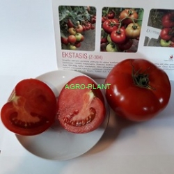 Pomidor Ekstasis 250 nasion