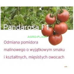 Pomidor Pandarosa 250 nasion