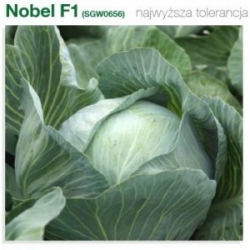 Kapusta Nobel 2500 nasion