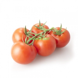 Pomidor Futuno 100 nasion