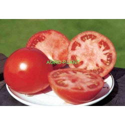 Pomidor Polbig 1000