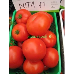 Pomidor Nita 250 nasion