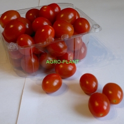 Pomidor Riesling 250 nasion